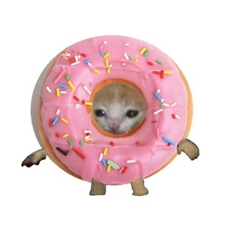 Telegram profile photo for Пон4ики🍩🫦