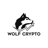 Telegram profile photo for FEEDBACK SOBRE WOLFCRYPTO VIP/ENTRENAMIENTOS 🔥