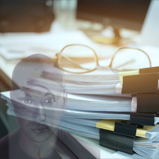 Telegram profile photo for PG Legal Battles