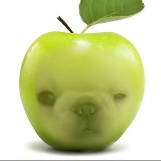 Telegram profile photo for Каморка Хаззара