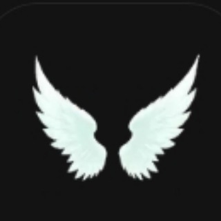 Telegram profile photo for Vibe Wings (Collectors)