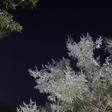 Telegram profile photo for لِـيَـطـمَـئِـنَّ قَـلـبـي