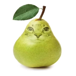 Telegram profile photo for Домик Травы💚