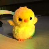 Telegram profile photo for كتاكيتي 🐣