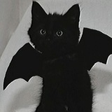 Telegram profile photo for beyci ni bos