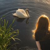 Telegram profile photo for Swan's girl ๐ฆข๐