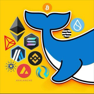 Telegram profile photo for Mr BigWhale Calls🐂💎
