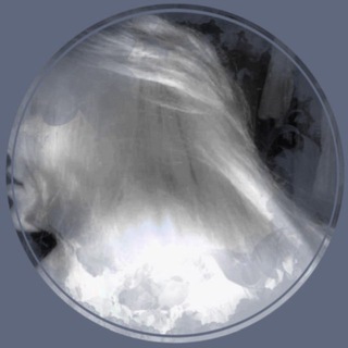 Telegram profile photo for 𝓉hea's dia𝐫𝐲 . a͟d͟l͟e͟r͟ ⸝⸝ #автордолбаеб