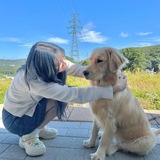 Telegram profile photo for Bibimcat Mutual Data