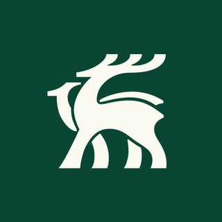 Telegram profile photo for РУССО