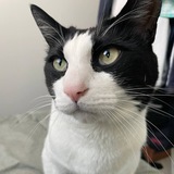 Telegram profile photo for 양말의 스토캐스틱 연구소 (Labs) 📈