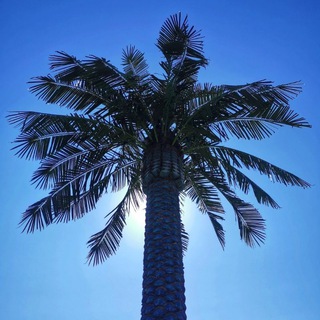 Telegram profile photo for Aktau