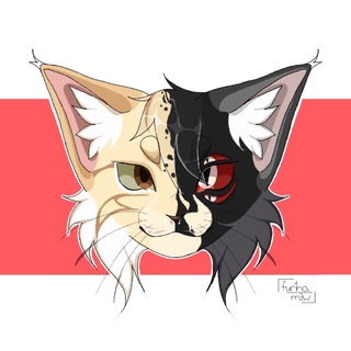 Telegram profile photo for ˖ ࣪⊹жиᴧищᴇ sʜɪʀᴏ 𖤓