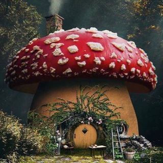Telegram profile photo for отзывы о покупках Ancient Magic