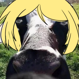 Telegram profile photo for коровьи почеркушки