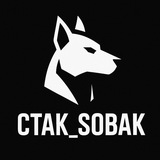 Telegram profile photo for CTAK_SOBAK