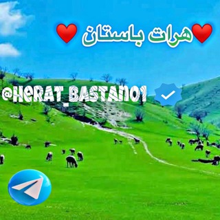 Telegram profile photo for ♥️ هرات باستان ♥️