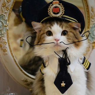 Telegram group profile photo for Neuracat Community | $NCAT