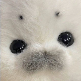 Telegram profile photo for 海豹 '