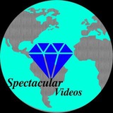 Telegram profile photo for Spectacular Videos