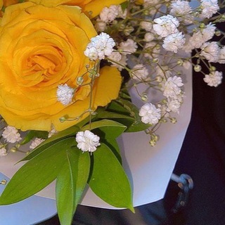 Telegram profile photo for رسائل إيجابية صباحية متنوعه 🌷