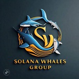 Telegram profile photo for Whales Group 🐳