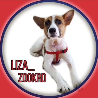 Telegram profile photo for liza_zookrd