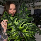 Telegram profile photo for Green Lady Mary🪴