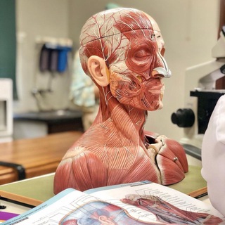 Telegram profile photo for MCQs anatomy