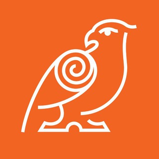 Telegram profile photo for ГК СОКОЛ