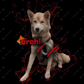Telegram profile photo for Арчи👹