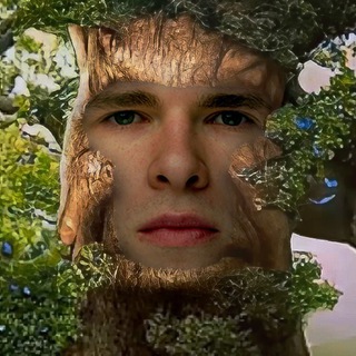 Telegram profile photo for я в лесу