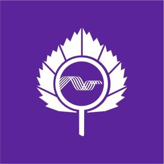 Telegram profile photo for Канал Бизнес-клуб Кольцово