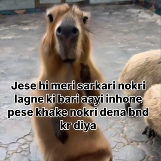 Telegram profile photo for UPSC हिंदी माध्यम 🦚
