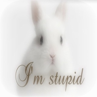 Telegram profile photo for evilrabbit⦻♡
