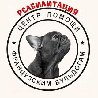 Telegram profile photo for Реабилитация ..Группа помощи французским бульдогам.