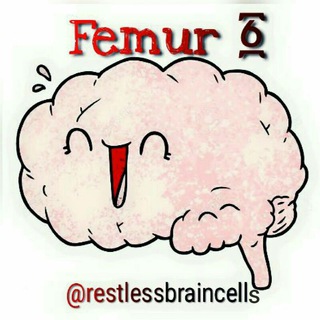 Telegram profile photo for Femur ፩