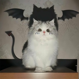 Telegram profile photo for Что-то моё..
