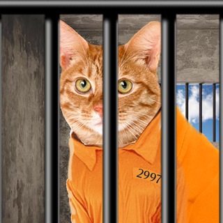Telegram profile photo for PWGood