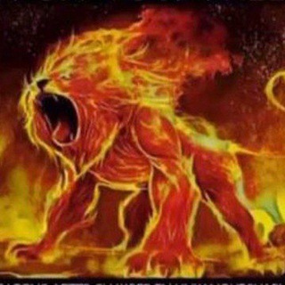 Telegram profile photo for ⚡⚡Hombres Solares⚡⚡