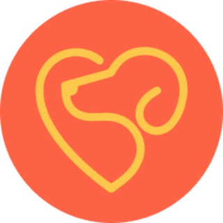 Telegram profile photo for Mehr - центр реабилитации собак