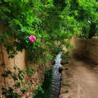 Telegram profile photo for کوچه باغ خاطرات