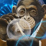 Telegram profile photo for Gen Ape's