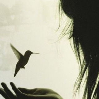 Telegram profile photo for Nothing – Portal.