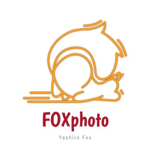 Telegram profile photo for 🦊FoxPhoto🦊