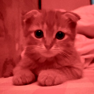 Telegram profile photo for Клуб добра