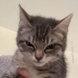 Telegram profile photo for вуху прайс лист 💘