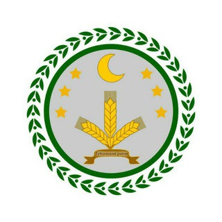 Telegram profile photo for Shamil's Laboratory
