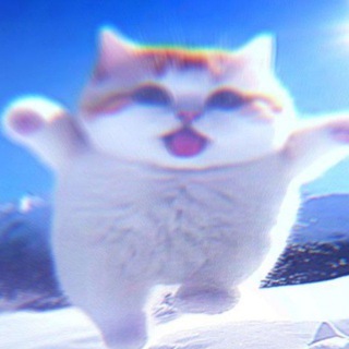 Telegram profile photo for Логово егорк'а👾