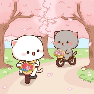 Telegram profile photo for โ ๐ท๐ญ๐ท ๐๐๐ ๐ช๐๐๐๐๐ โโทโฆ
